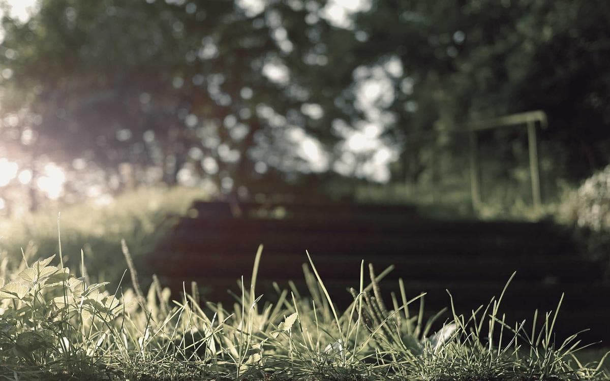 Elegant Scene Template Vol.213