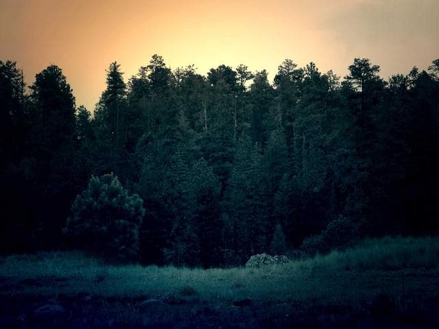 Dark Scene Template Vol.87