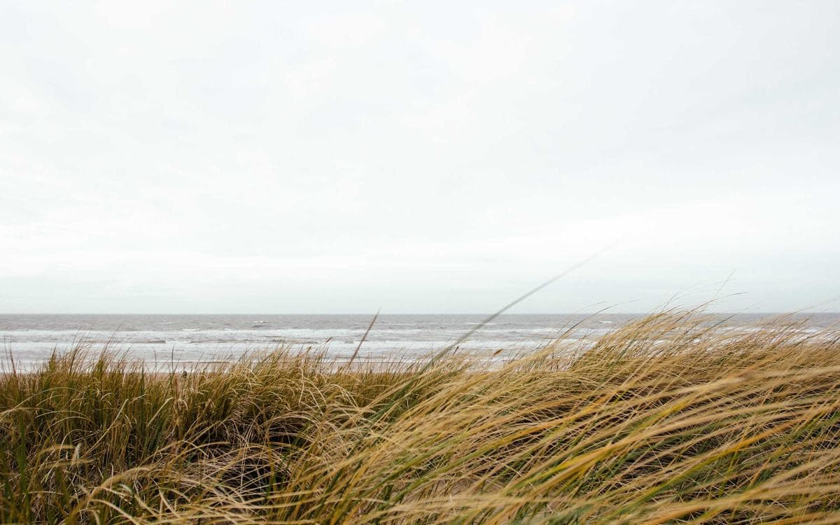 Minimal Lightroom Presets Vol.146