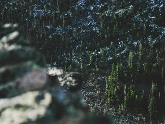 Pro Filter Set Vol.222