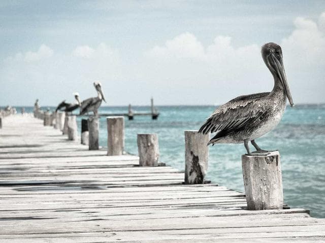 Modern Photoshop Actions Vol.337
