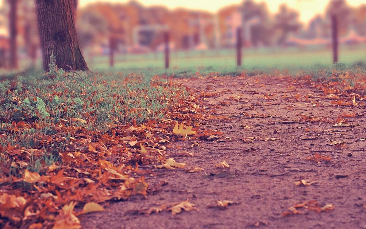 Vintage Overlay Collection Vol.436