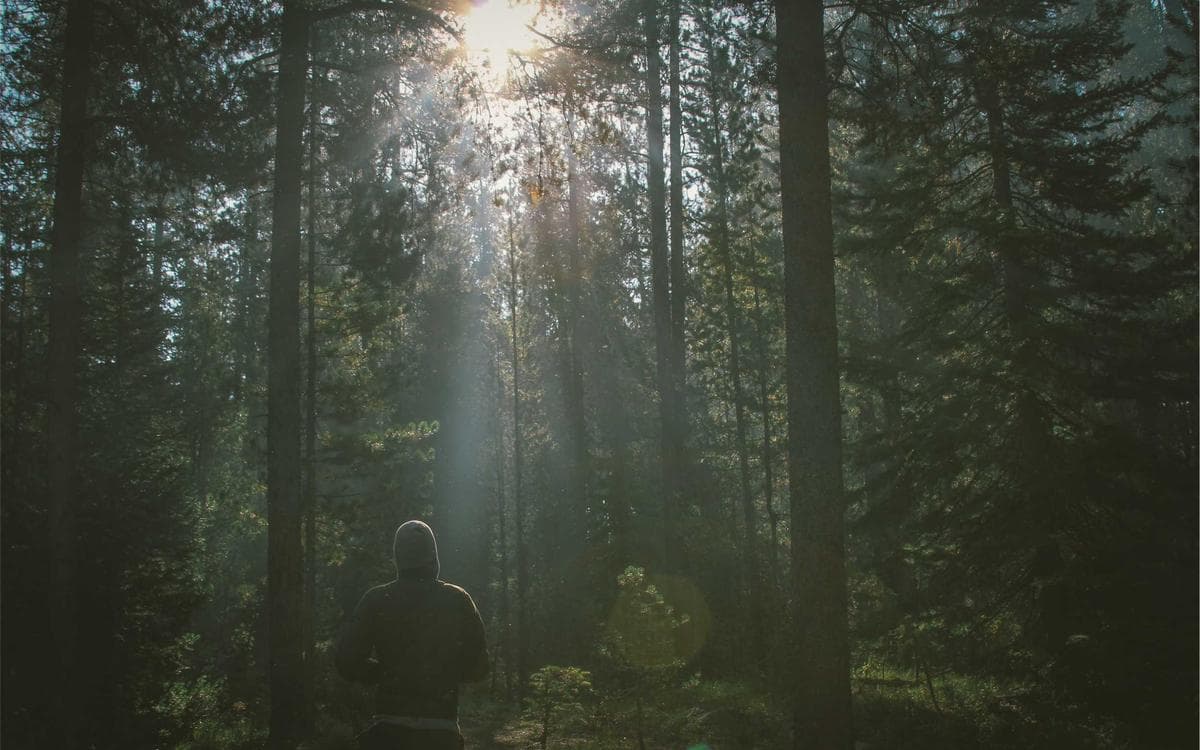 Modern LUT Bundle Vol.497