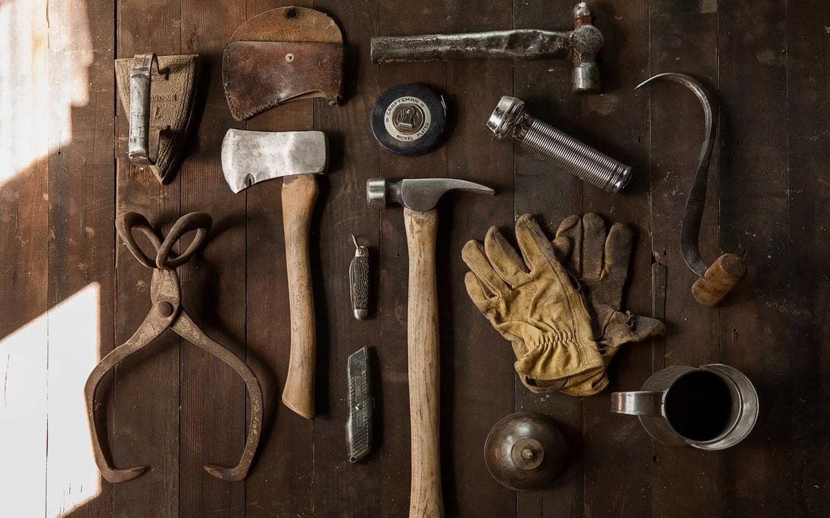Premium Business Guide Vol.331