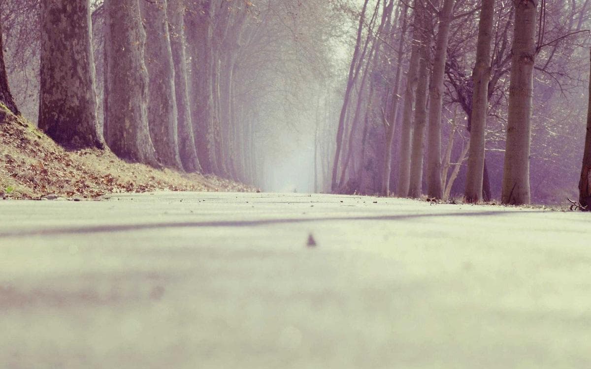 Smart Mono Font Vol.112