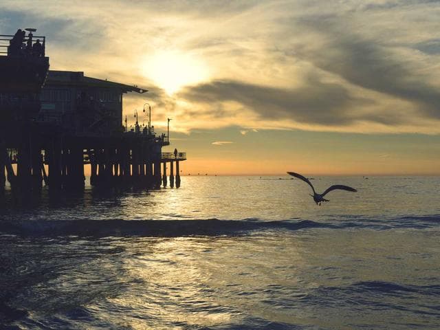 Playful Script Typeface Vol.86