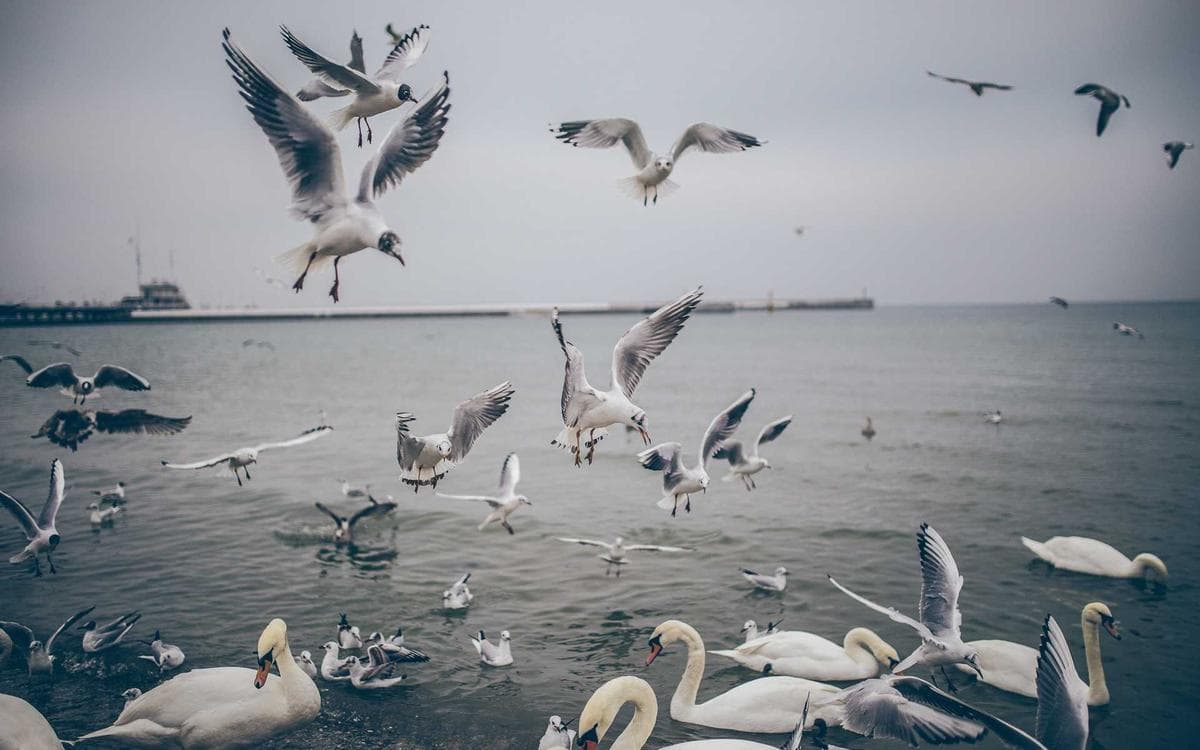 Clean Social Media Kit Vol.345