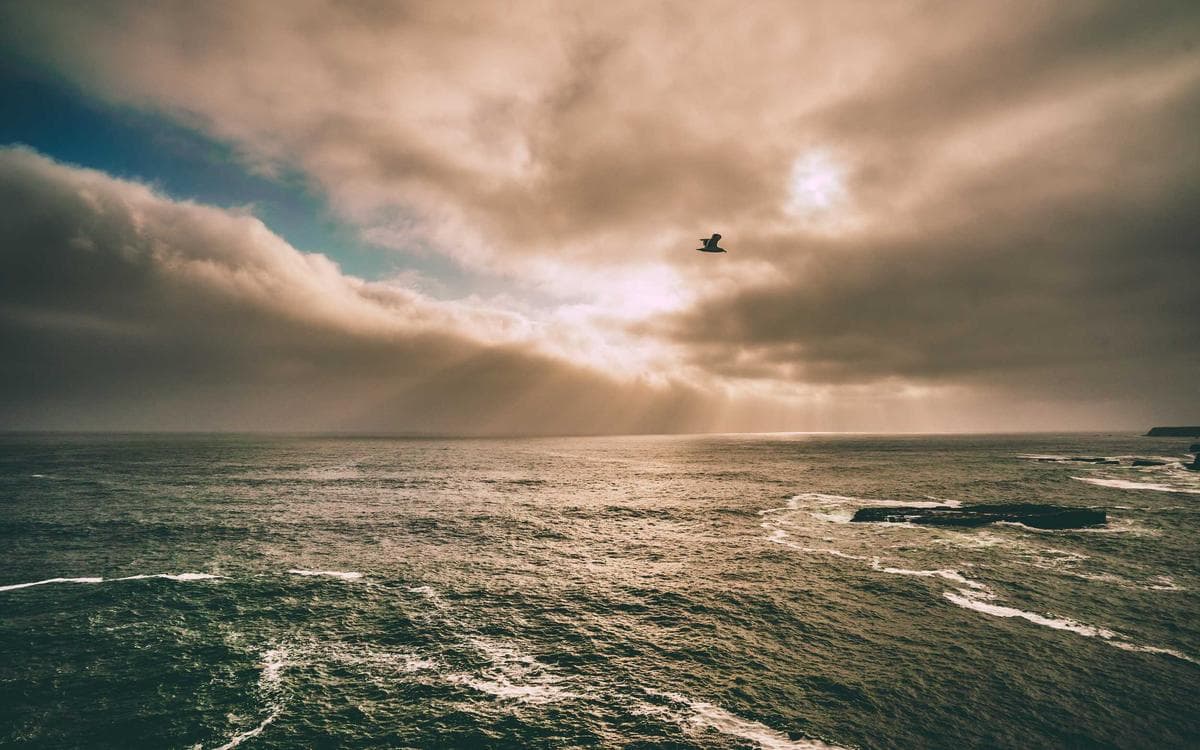 Ultimate Social Media Kit Vol.381