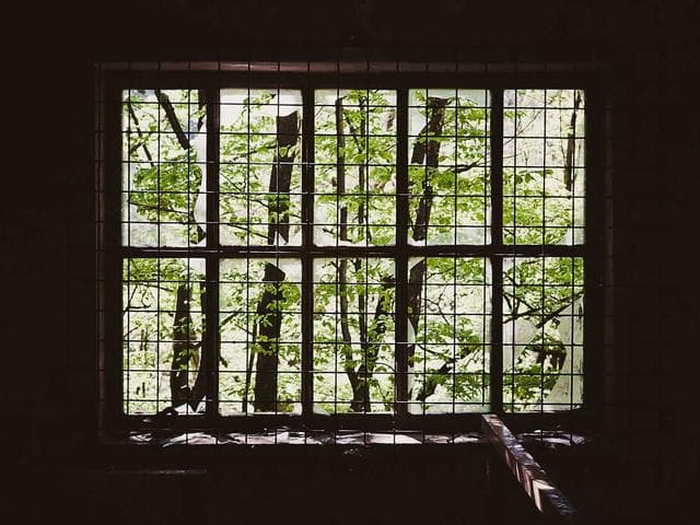Elegant Icon Collection Vol.133