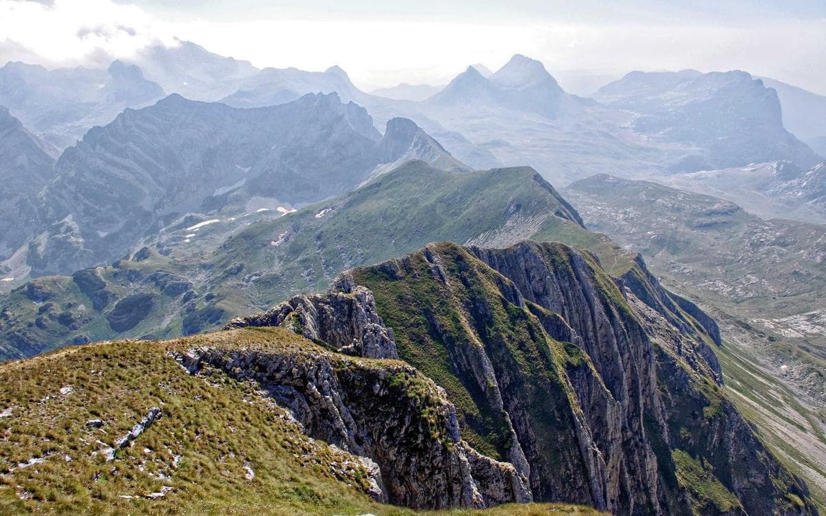 Pro Background Kit Vol.334