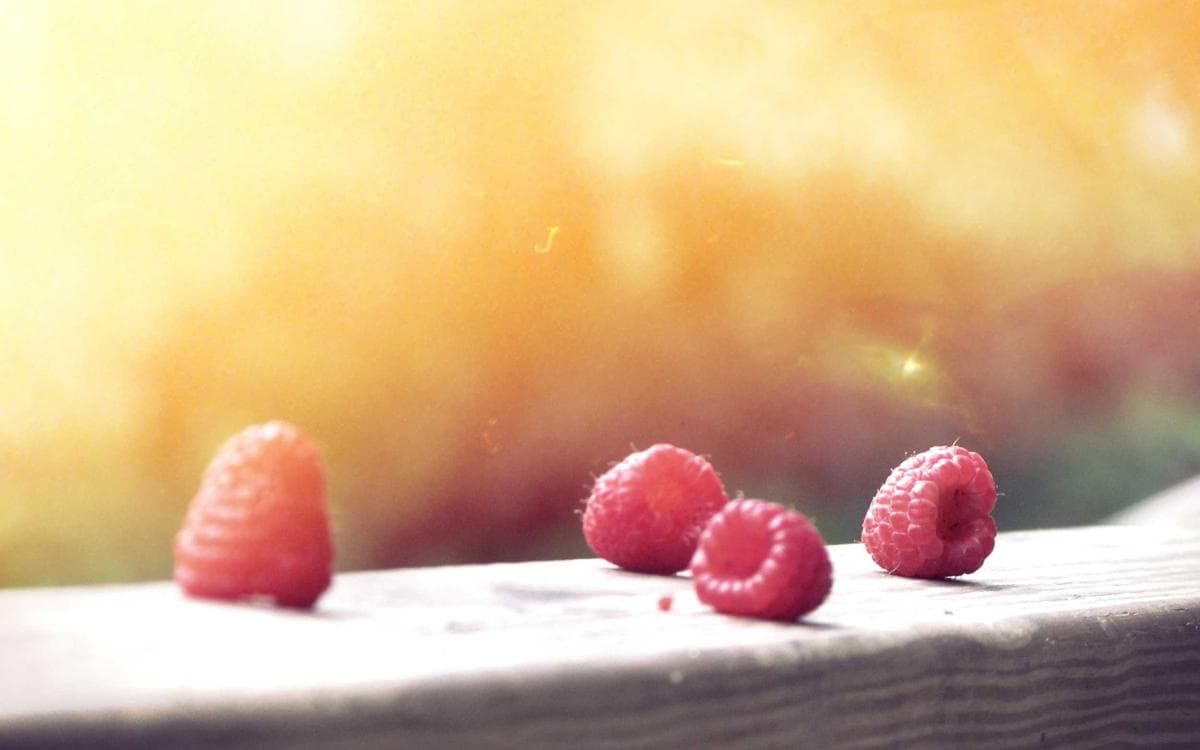 Bright Shape Library Vol.456