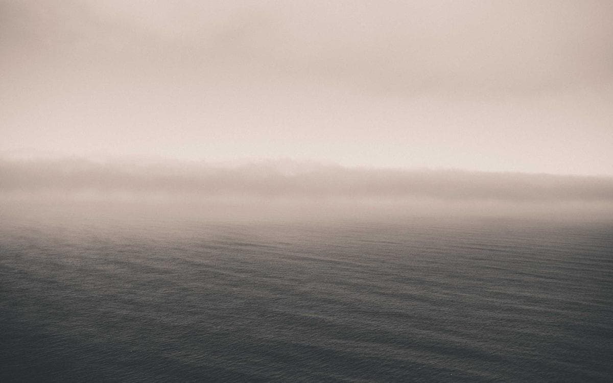 Elegant Vector Bundle Vol.485