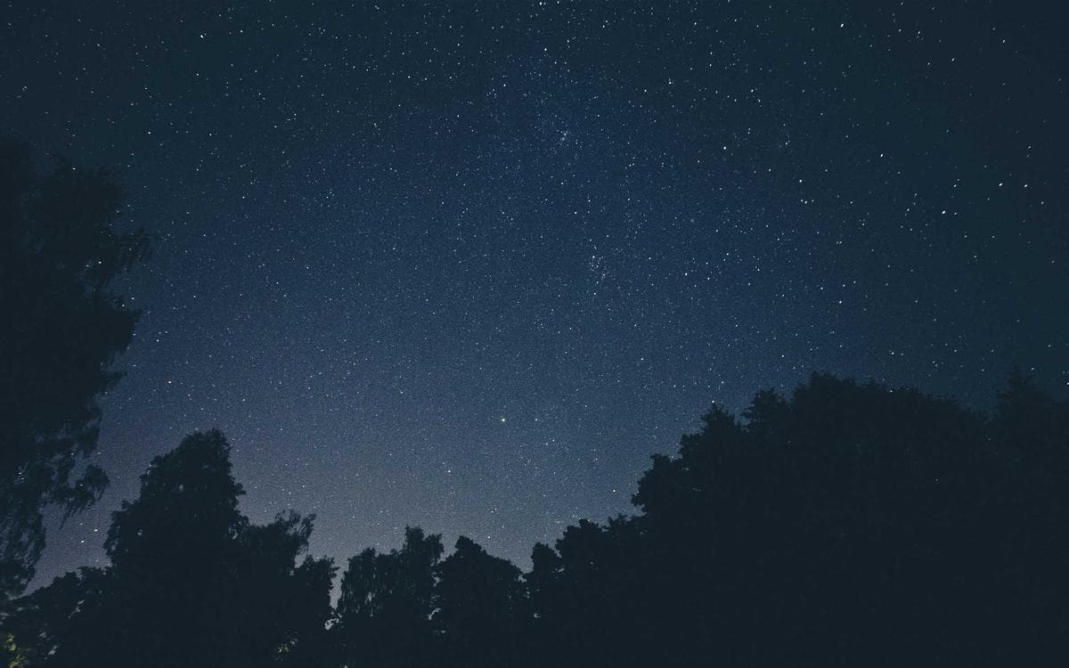 Modern Nature Gallery Vol.257