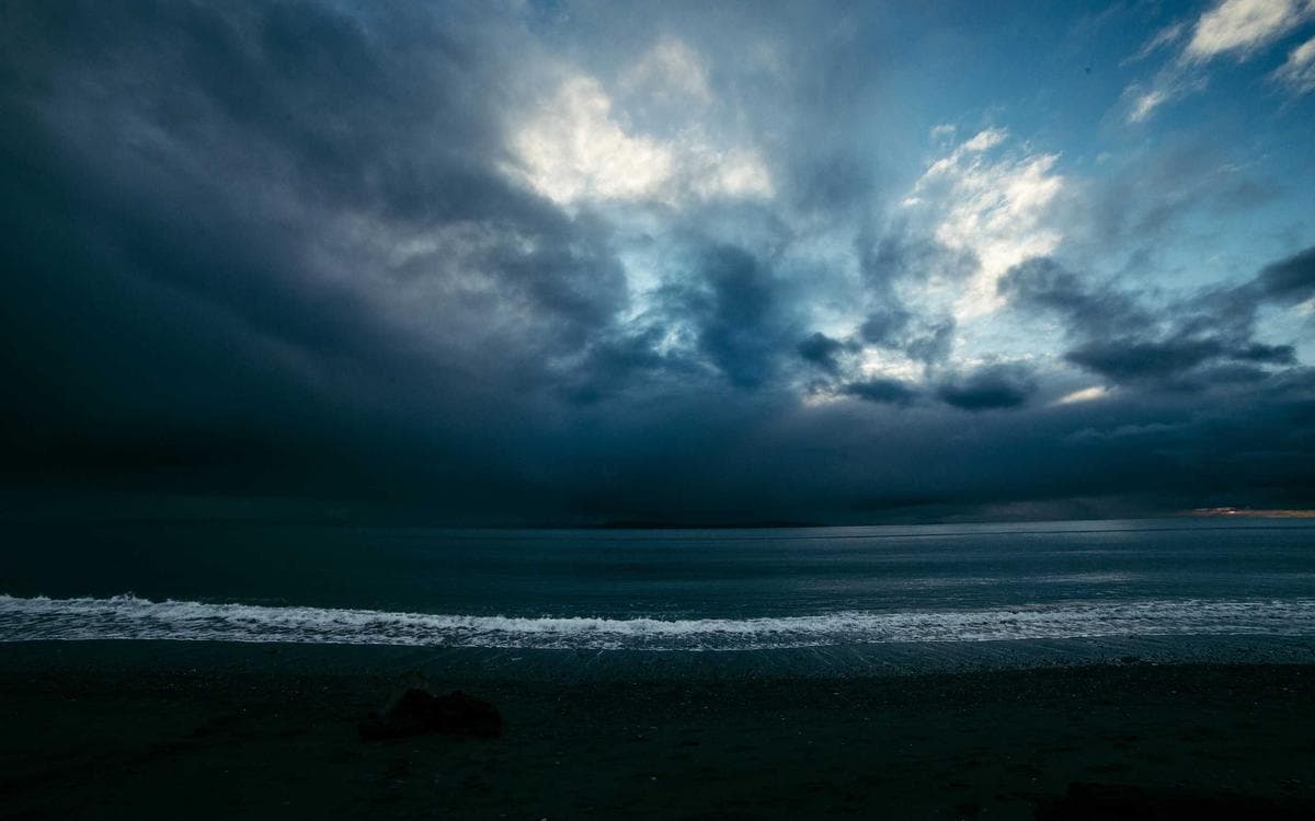 Modern Nature Gallery Vol.305