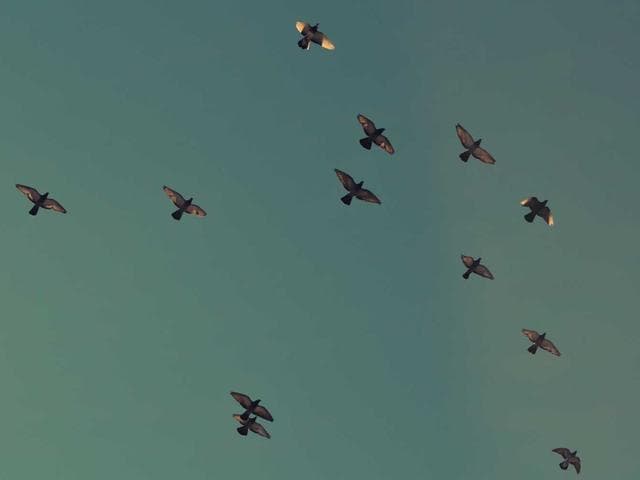 Creative Cinematic Opener Vol.367