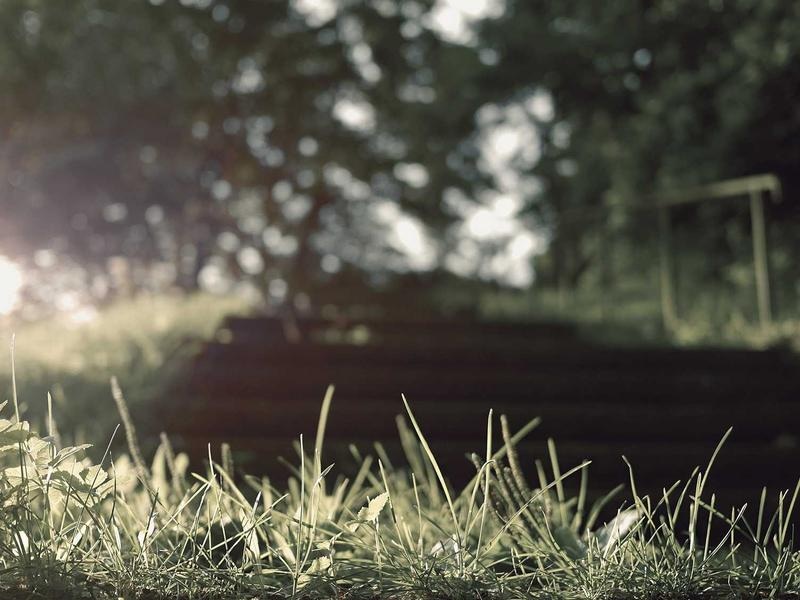 Elegant Scene Template Vol.213
