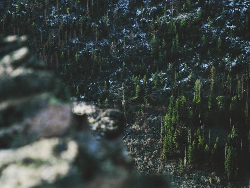 Pro Filter Set Vol.222