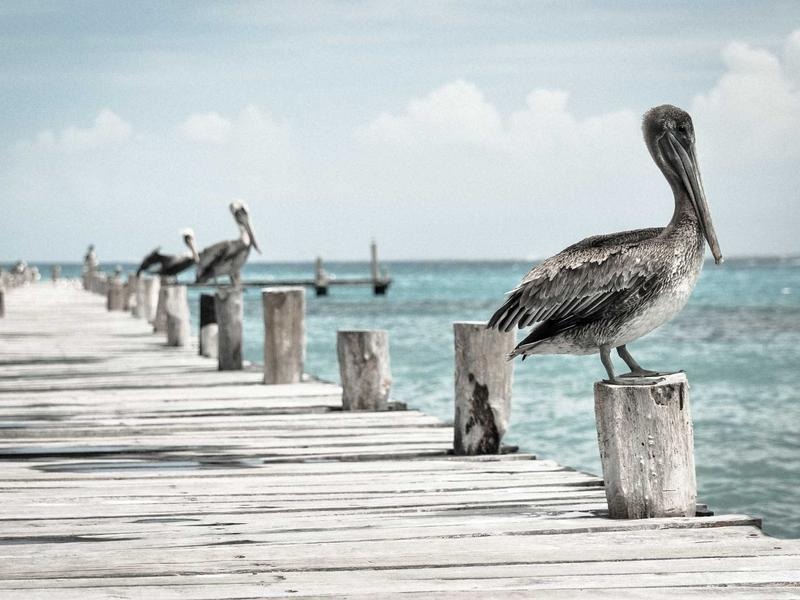 Modern Photoshop Actions Vol.337