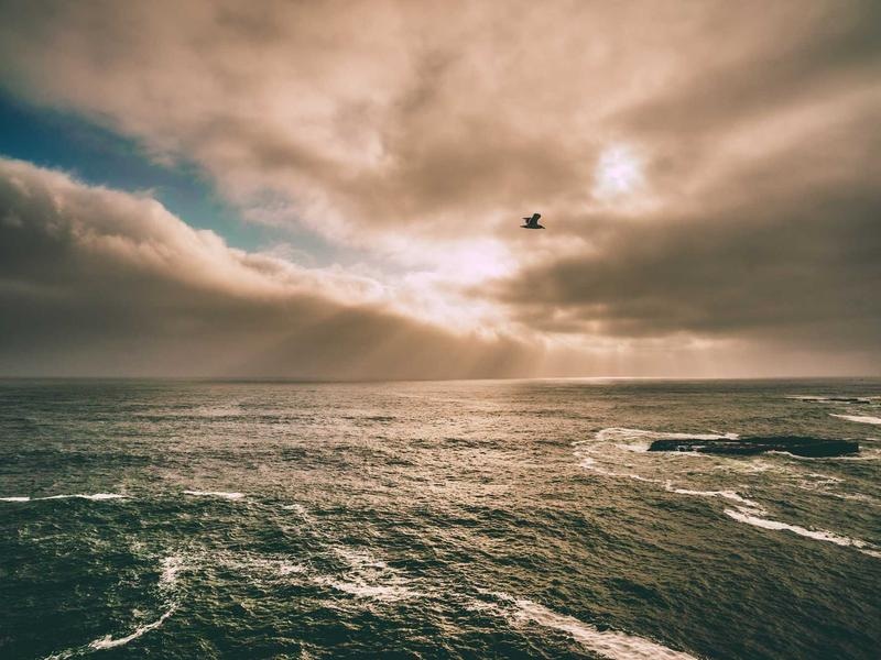 Ultimate Social Media Kit Vol.381