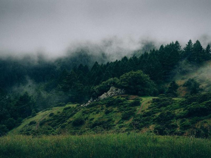 Ultimate Social Media Kit Vol.93