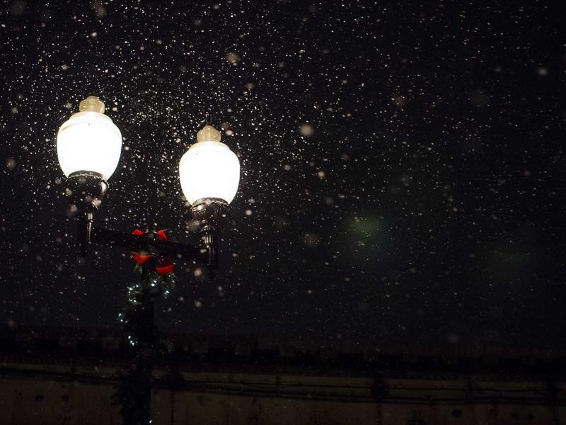 Elegant Social Clip Pack Vol.437